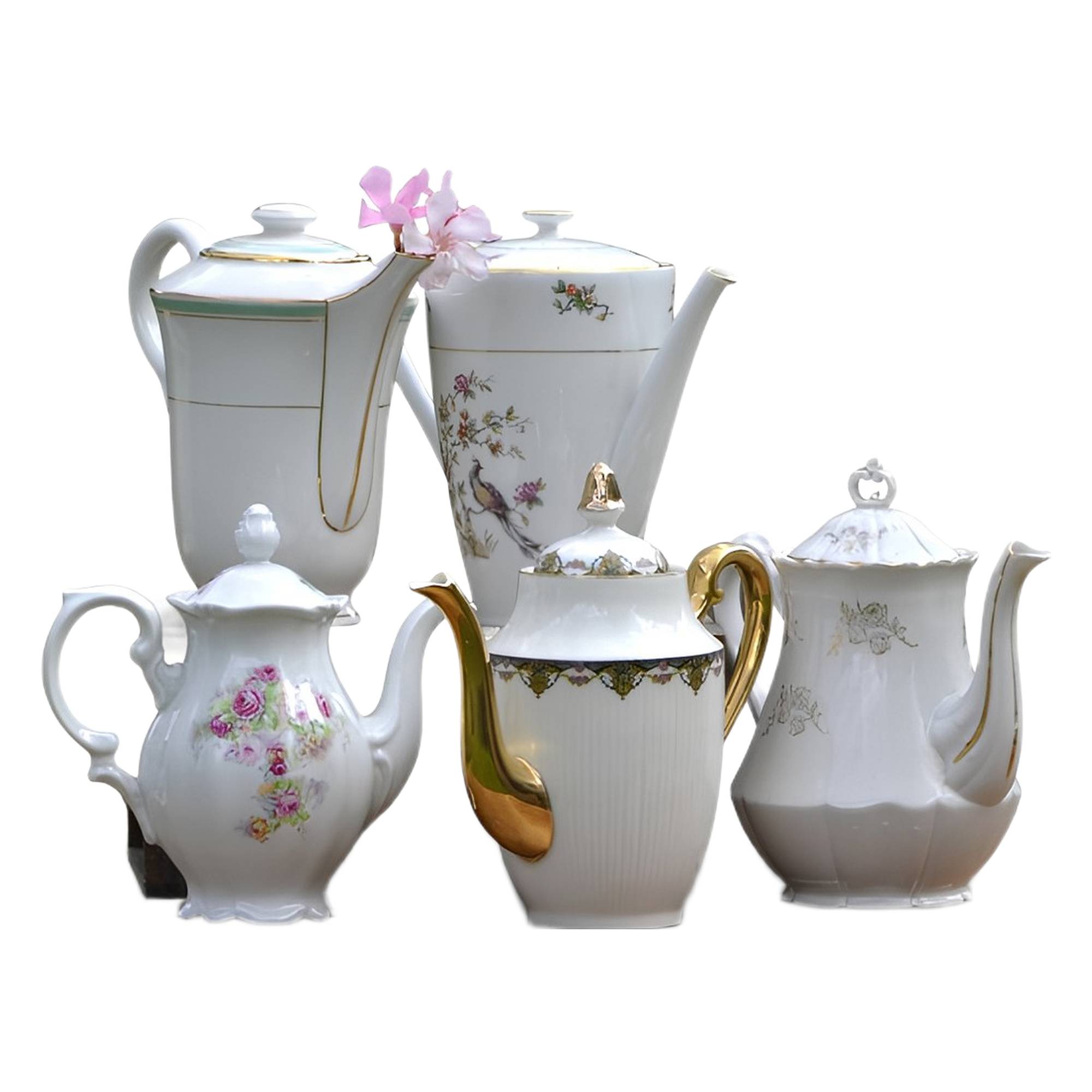 title e9886019 c988 4e3a b1b5 d4ed637df7b4