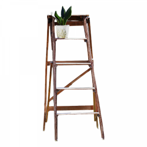 title Escabeau en bois