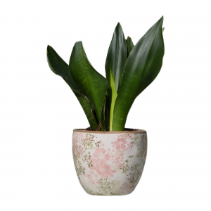 title Cache-pot céramique fleurs roses