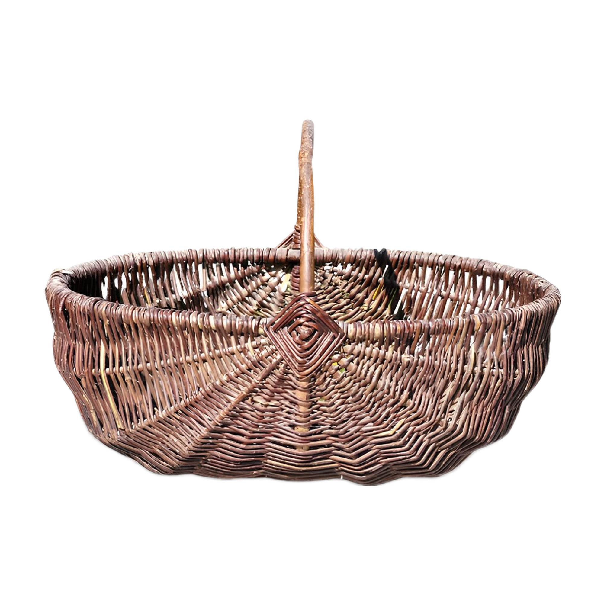 title 2588bb99 55bd 4fad aab8 16d3ea3a871f