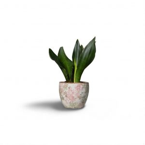 title Cache-pot céramique fleurs roses