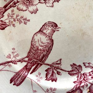 Assiettes terre de fer en mélange